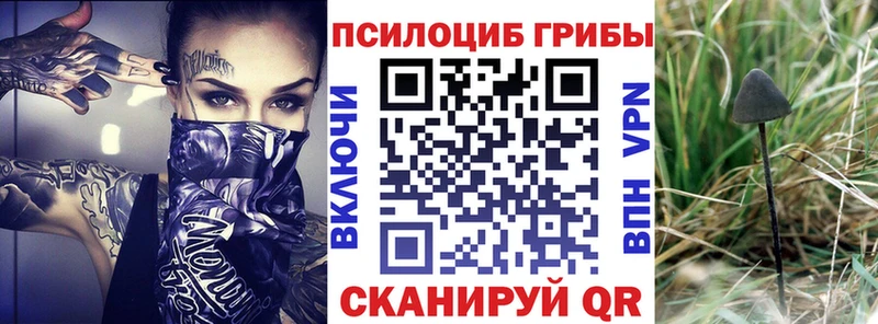 Галлюциногенные грибы мухоморы  МЕГА как войти  Окуловка 